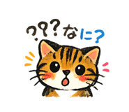 842873916