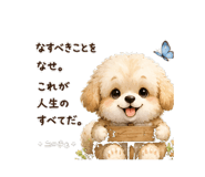 842874169