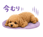 842874868