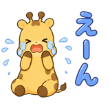 842875048