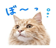 842875527