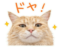 842875530