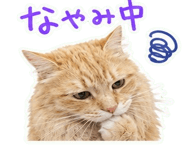 842875533