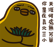 842875906