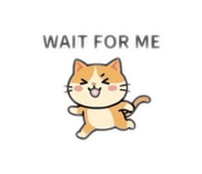 842876607