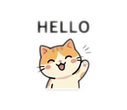 842876618