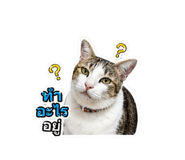 842878044