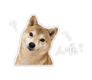 842878842
