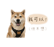 842878847