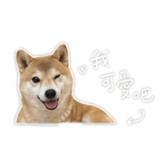 842878848