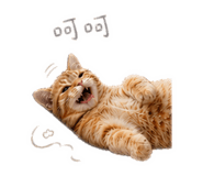 842879045