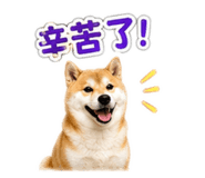 842879433