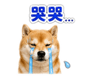 842879436