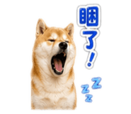 842879442
