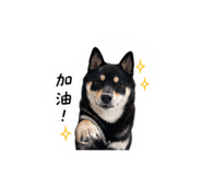 842879967