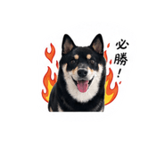 842879982