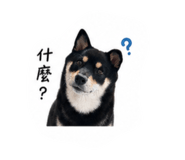842879984