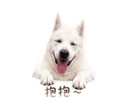 842880148