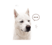842880154