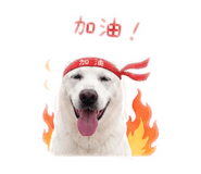 842880162