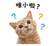 842880491