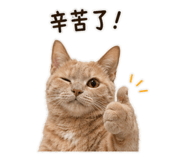 842880505