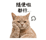 842880507