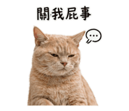 842880508