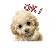 842880670