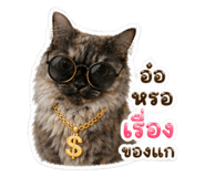 842881652