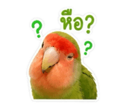 842882738