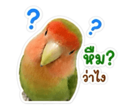 842882745