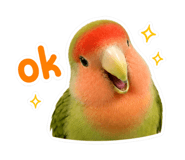 842882765