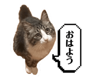 842882858