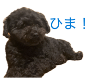 842883020