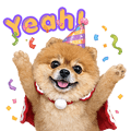 842883111