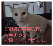 842883141
