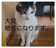 842883143