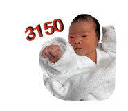 842883212