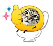 842883429
