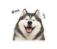 842883491