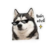 842883492