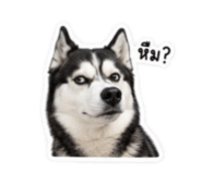 842883495