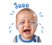 842884010