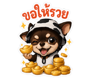 842884036