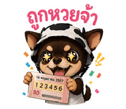 842884037