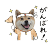842884051