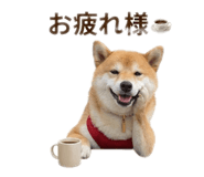 842884054