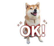 842884055