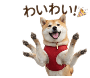 842884056